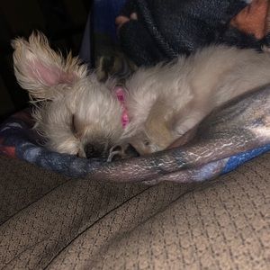 Meet your Posher, Alyssa